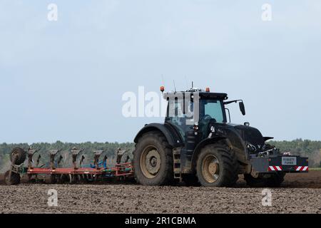 Pflügen Sutton Suffolk UK Stockfoto