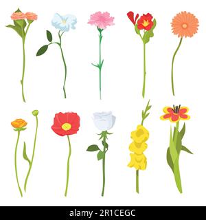 Ein Set süßer Wildblumen Stock Vektor