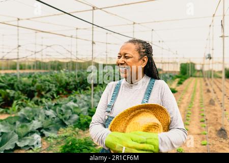 Glücklicher afrikanischer Bauer, der in einem landwirtschaftlichen Gewächshaus arbeitet – Bauernmenschen-Lifestyle-Konzept Stockfoto