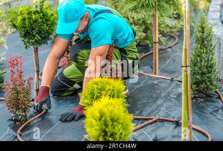 Modernes Garden Drip Bewässerungsgebäude von einem weißen Landschaftsgärtner Stockfoto