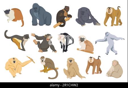 Cartoon-Affen-Set-Vektordarstellung Stock Vektor