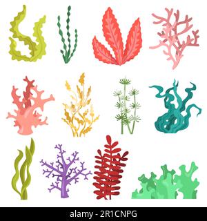 Aquarelle Algen Stock Vektor