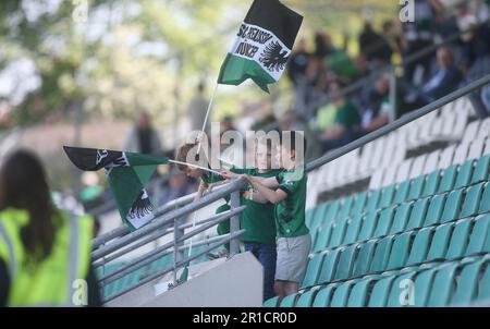 Münster, Deutschland. 13. Mai 2023. firo: 13.05.2023 Fußball, Fußball, Saison der Regionalliga, 2022/2023, Regionalliga West, Rückkehrrunde, 34. Spieltag SC Preussen Munster, SCP, Preußen Münster - Rot Weiss Ahlen Junge, Preußen, Fans, mit, den Spieltagen, Choreo, Flag Credit: dpa/Alamy Live News Stockfoto