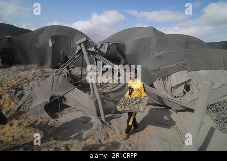 Gaza. 13. Mai 2023. Menschen inspizieren beschädigte Gewächshäuser nach einem Luftangriff in der südlichen Gazastreifen-Stadt Rafah, 13. Mai 2023. Kredit: Khaled Omar/Xinhua/Alamy Live News Stockfoto