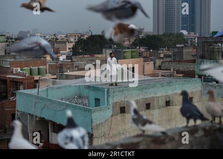 Neu-Delhi, Indien. 12. Mai 2023. Ein Taubenliebhaber sieht seine Tauben auf einem Gebäude in Neu-Delhi, Indien, 12. Mai 2023. Kredit: Javed Dar/Xinhua/Alamy Live News Stockfoto