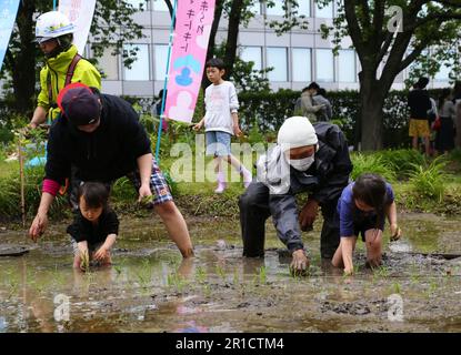Tokio, Japan. 13. Mai 2023. Die Leute versuchen am 13. Mai 2023, Reiskeimlinge in einem Dachgarten in Tokio, Japan, zu Pflanzen. Mit dem Tokyo Tower im Hintergrund zog der Dachgarten im Roppongi Hills Komplex am Samstag Stadtarbeiter und Einheimische an, die Reis Pflanzen wollten. Rund 140 Menschen, darunter 60 Kinder, betraten den schlammigen ReisReisReisReisReisReisReisfeld und lernten, wie man Reissäfflinge in dem etwa 45 Meter über dem Boden gelegenen Garten anpflanzt. Kredit: Qian Zheng/Xinhua/Alamy Live News Stockfoto