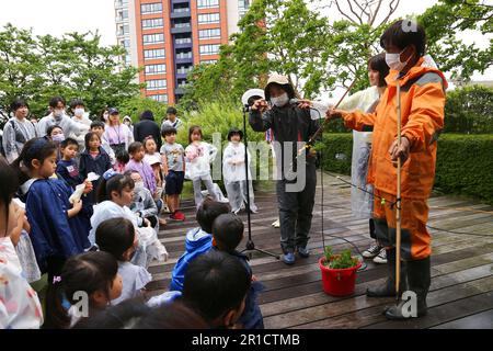 Tokio, Japan. 13. Mai 2023. Kinder lernen am 13. Mai 2023 in einem Dachgarten in Tokio, Japan, wie man Reiskeimlinge pflanzt. Mit dem Tokyo Tower im Hintergrund zog der Dachgarten im Roppongi Hills Komplex am Samstag Stadtarbeiter und Einheimische an, die Reis Pflanzen wollten. Rund 140 Menschen, darunter 60 Kinder, betraten den schlammigen ReisReisReisReisReisReisReisfeld und lernten, wie man Reissäfflinge in dem etwa 45 Meter über dem Boden gelegenen Garten anpflanzt. Kredit: Qian Zheng/Xinhua/Alamy Live News Stockfoto