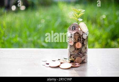 Bitmünzen und andere Münzen in einer Glasflasche werden auf einen Holztisch gelegt und die Morgensonne scheint. Es gibt viele Münzen auf dem Sparschwein. Konzept Mon Stockfoto