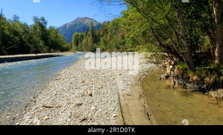 Winziger, klarer, kalter Bach mit Felsbrocken in den Arkhyz-Bergen - Foto der Natur Stockfoto