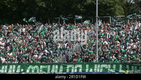 Münster, Deutschland. 13. Mai 2023. firo: 13.05.2023 Fußball, Fußball, Saison der Regionalliga, 2022/2023, Regionalliga West, Rückflug, 34. Spieltag SC Preussen Munster, SCP, Preussia Münster - Rot Weiss Ahlen Fahnenmeer, Fans, Fans, aus Preußen Münster, Choreo Credit: dpa/Alamy Live News Stockfoto