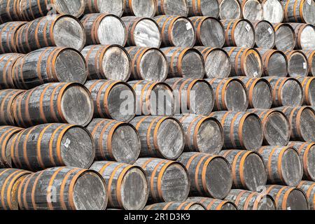 12. Mai 2023 Speyside Cooperage, Dufftown Road, Craigellachie, Moray, Schottland, AB38 9RS. Dies ist eine große Sammlung von Whisky und anderen Alkoholfässern. Stockfoto