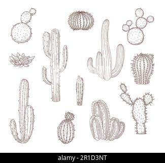 Ein Set handgezogener Kakteen mit Blumen Stock Vektor