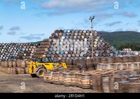 12. Mai 2023 Speyside Cooperage, Dufftown Road, Craigellachie, Moray, Schottland, AB38 9RS. Dies ist eine große Sammlung von Whisky und anderen Alkoholfässern. Stockfoto