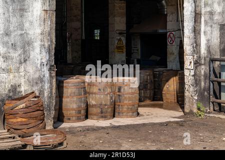 12. Mai 2023 Speyside Cooperage, Dufftown Road, Craigellachie, Moray, Schottland, AB38 9RS. Dies ist eine große Sammlung von Whisky und anderen Alkoholfässern. Stockfoto