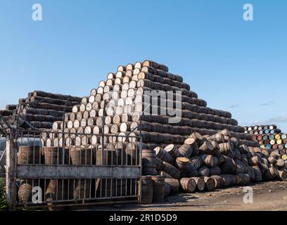 12. Mai 2023 Speyside Cooperage, Dufftown Road, Craigellachie, Moray, Schottland, AB38 9RS. Dies ist eine große Sammlung von Whisky und anderen Alkoholfässern. Stockfoto