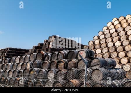 12. Mai 2023 Speyside Cooperage, Dufftown Road, Craigellachie, Moray, Schottland, AB38 9RS. Dies ist eine große Sammlung von Whisky und anderen Alkoholfässern. Stockfoto