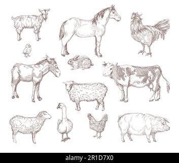Isolierte, handgezeichnete Illustrationen für Haustiere Stock Vektor