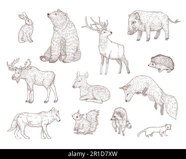 Different forest animals engraved illustrations set Stock Vektor
