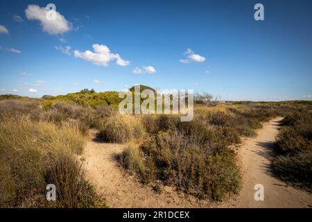 Trockene Landschaft der Salinas des Parque Regional de las Salinas de San Pedro, Murcia, Spanien mit verzweigten Schotterwegen Stockfoto