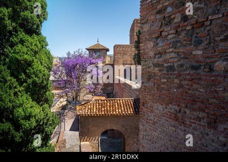 Festung Alcazaba - Malaga, Andalusien, Spanien Stockfoto