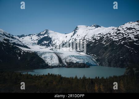 Blick auf den Portage-Gletscher im Chugach-Gebirge und Portage-See im Hintergrund und rosafarbenes Feuerweed im Vordergrund. In den USA gedreht Stockfoto