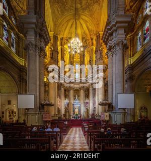 Malaga Kathedrale mit Schiff und Hauptkapelle - Malaga, Andalusien, Spanien Stockfoto