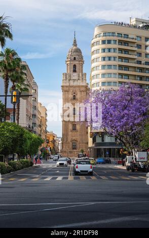 Blick auf die Straße mit Malaga Kathedrale - Malaga, Andalusien, Spanien Stockfoto