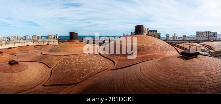 Panoramablick auf die Dächer der Kathedrale von Malaga - Malaga, Andalusien, Spanien Stockfoto