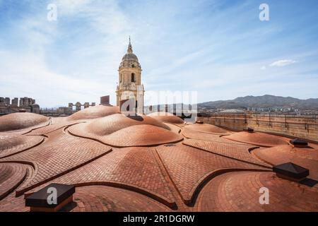 Malaga Kathedrale und Nordturm - Malaga, Andalusien, Spanien Stockfoto