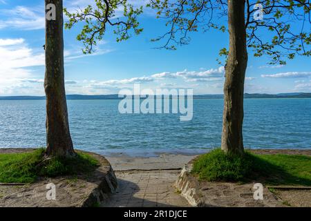 Freier Strand am Balaton mit Bäumen und Natur in Balatonfoldvar Ungarn. Stockfoto