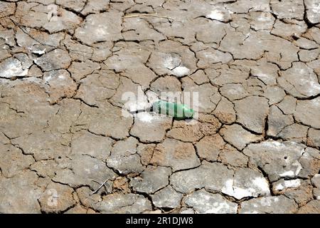 Alte Glasflasche in trockenen, gemahlenen Rissen. Trockenes Land in der Trockenzeit. Mangelnde Luftfeuchtigkeit durch globalen Rissboden. Stockfoto