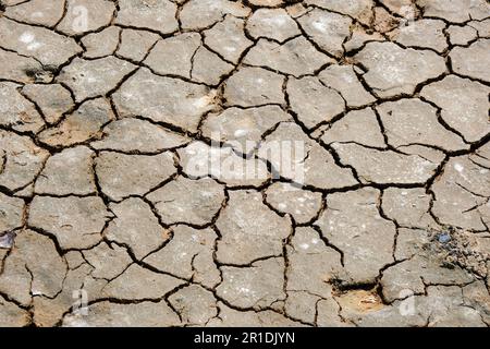 Dürre, Bodenrisse, kein heißes Wasser. Trockenes Land in der Trockenzeit. Mangelnde Luftfeuchtigkeit durch globalen Bruchboden im Sommer. Stockfoto