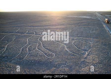 Erstaunliche riesige antike Geoglyphen von Nazca-Linien namens Arbol (Baum) im abendlichen Sonnenlicht, Nazca-Wüste, Ica-Region, Peru Stockfoto