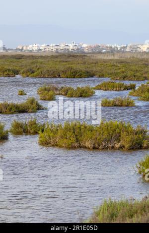 Naturschutzgebiet Punta entina sabinar, roquetas de mar, almeria, spanien Stockfoto