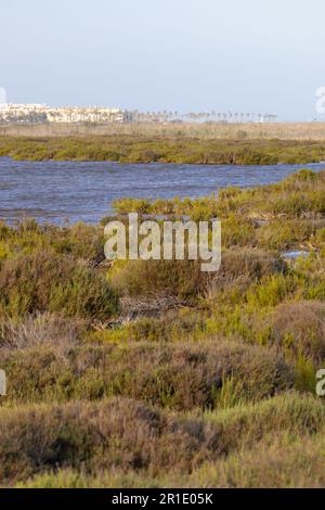 Naturschutzgebiet Punta entina sabinar, roquetas de mar, almeria, spanien Stockfoto