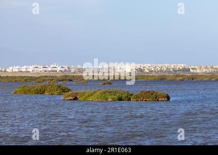 Naturschutzgebiet Punta entina sabinar, roquetas de mar, almeria, spanien Stockfoto