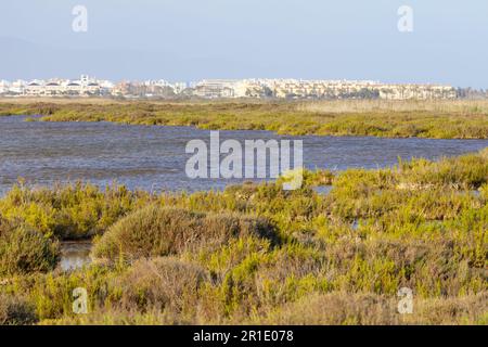 Naturschutzgebiet Punta entina sabinar, roquetas de mar, almeria, spanien Stockfoto