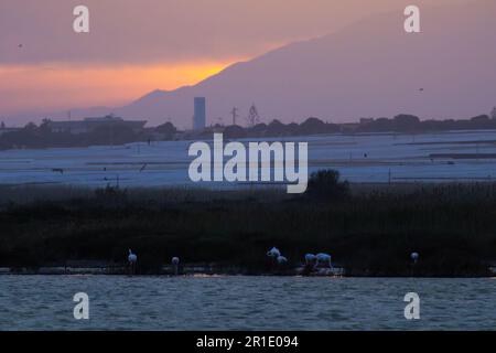 Naturschutzgebiet Punta entina sabinar in der Abenddämmerung, roquetas de mar, almeria, spanien Stockfoto