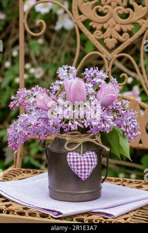 Strauß rosa Tulpen und Flieder in klassischer Milchdose im Garten Stockfoto