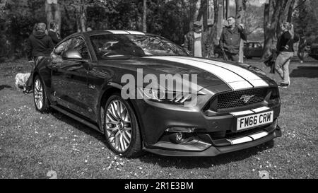 2018 Ford Mustang GT, ausgestellt bei der April Scramble, die am 23. April 2023 im Bicester Heritage Centre stattfindet. Stockfoto