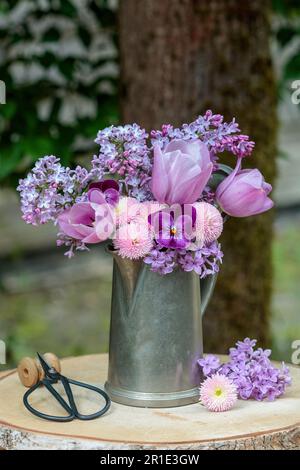 Strauß aus rosafarbener Veilchenblume, bellis perennis, Tulpen und Flieder in klassischer Kaffeedose Stockfoto