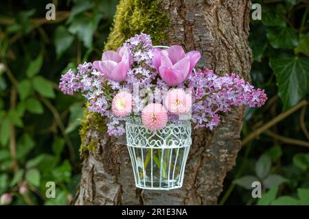 Strauß aus rosa bellis perennis, Tulpen und Flieder in Vintage-Vase Stockfoto