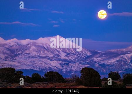 Vollmond über den La Sal Mountains; Canyonlands National Park; Blick vom Dead Horse Point State Park; Utah; USA Stockfoto