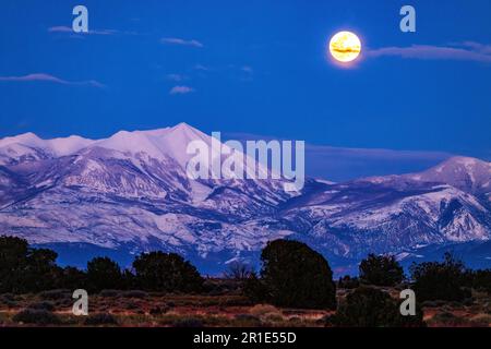 Vollmond über den La Sal Mountains; Canyonlands National Park; Blick vom Dead Horse Point State Park; Utah; USA Stockfoto