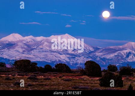 Der Panoramablick auf den Vollmond beleuchtet die La Sal Mountains, den Canyonlands-Nationalpark, den Dead Horse Point State Park, Utah, USA Stockfoto