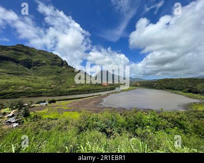 Alekoko Menehune Fischteich auf Kauai Stockfoto