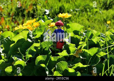 Playmobil-Mann im Dschungelgarten Stockfoto