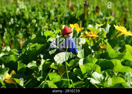 Playmobil-Mann im Dschungelgarten Stockfoto