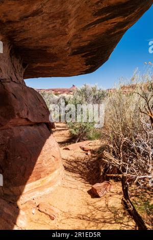 Cave Spring Trail; 1.000 Jahre alte Vorfahren und Cowboy Camp; Canyonlands National Park; Utah; USA Stockfoto