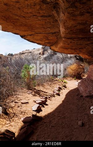 Cave Spring Trail; 1.000 Jahre alte Vorfahren und Cowboy Camp; Canyonlands National Park; Utah; USA Stockfoto